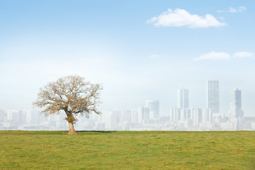 campagne ville urbanisme construction tour logement habitation proximité éloignement travail arbre chêne pré horizon avenir