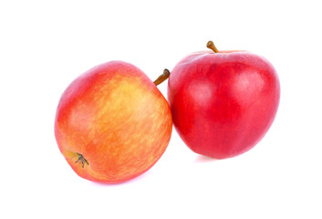 Apple on a white background