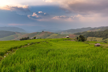 Terraced Rice Field with Hut and Mountain Background , Chiang Mai in Thailand ,Blur Background


