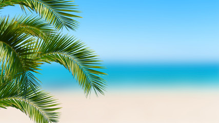 sun, sea, palm - summer background
