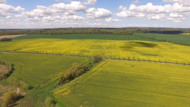 Aerial view of blooming Canola rape fields along a Country Road. A Car is passing by