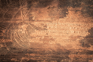 Abstract surface of old wood,texture background