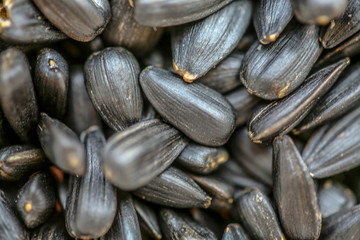 Sunflower seeds