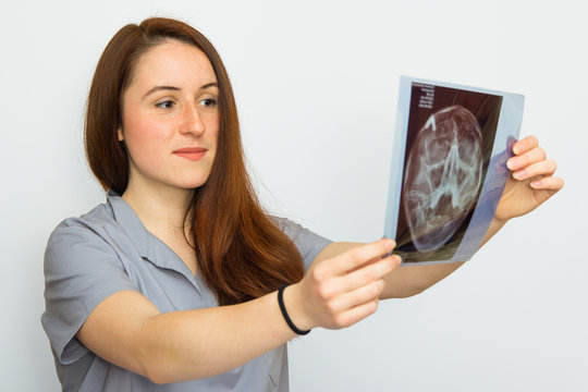 Young female doctor looking at the x-ray picture on white background