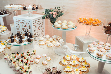 modern stylish luxury wedding candy bar. a wide range of sweets on a wedding cande bar.