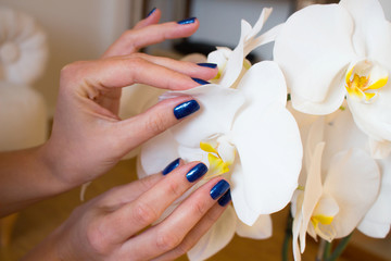 Female hands with bright blue manicure and orchid flower