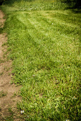 Frisch gemähte Wiese