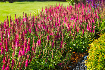 beautiful landscaping with beautiful plants