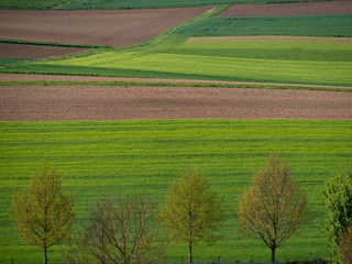 Ackerbau im frühjahr