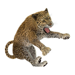 3D Rendering Big Cat Leopard on White