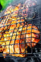 Chicken shashlik on grill