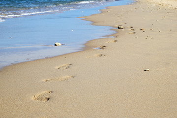 Travel to island Koh Lanta, Thailand. The footprints on the sand beach near to sea.