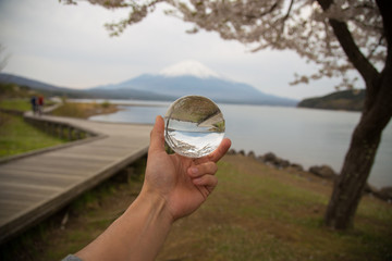 mount fuji