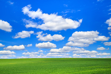 Obraz premium landscape with clouds