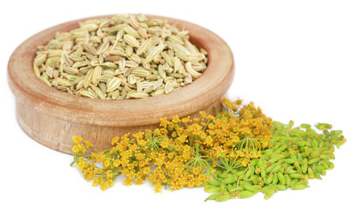 Fennel seeds