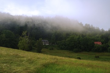 Landscape with forests after spring rain