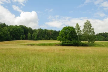 Fotobehang Blauwe hemel Beautiful summer landscape  © ondrej83