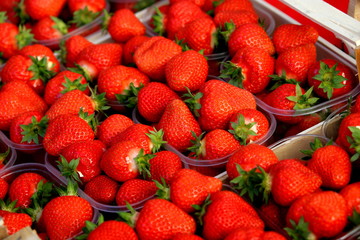 vaschette di fragole