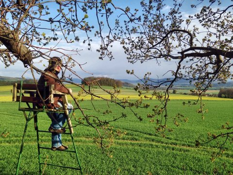 Mann blickt von einem Hochsitz Richtung Seifhennersdorf und Tschechien