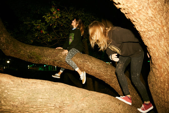 Girls are fooling around on a tree in the night