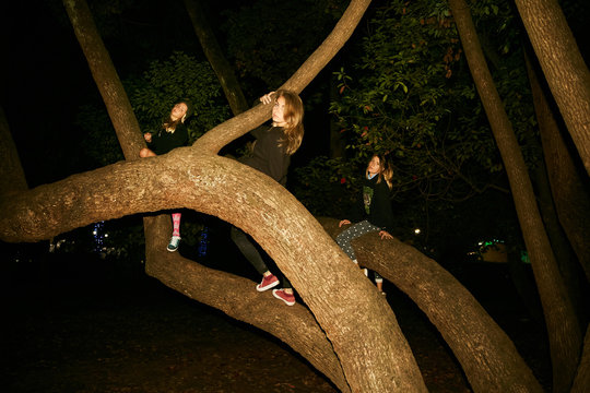 Girls are fooling around on a tree in the night