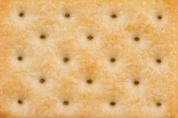 closeup of biscuits light brown texture