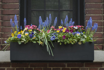 Obraz premium Flower Filled Window Box in New York City
