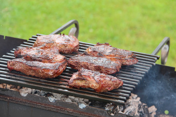 Meat steaks on the grill grate over the coals