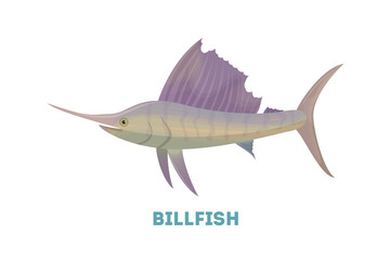 Isolated marlin fish on white background. Seafood.