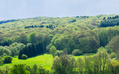 Fototapeta na wymiar Saarland Landschaft mit Feldern und Mischwald im Frühling bei 66646 Marpingen und einsamerer Wanderer
