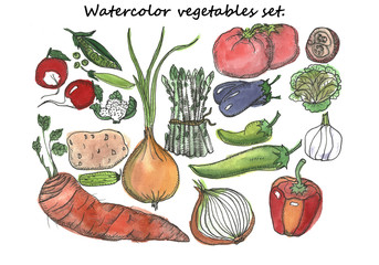 Hand drawn watercolor vegetarian set.