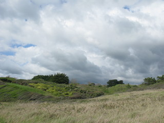 Obraz premium Lande bretonne