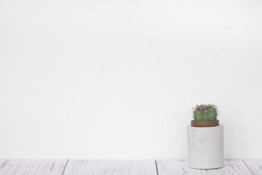 Stock photography retro white wall wooden vintage paint floor and cactus cement pot