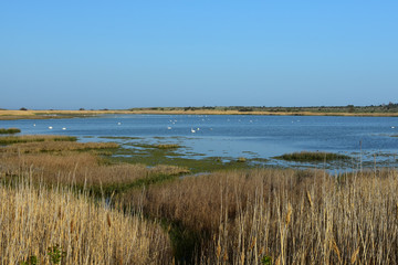 Shablaenska Tuzla lake, Bulgaria - natural reserve situated on Via Pontica bird migration route