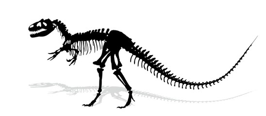 Dinosaur skeleton.