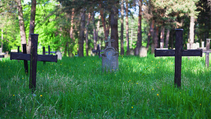 Old Graveyard in Park