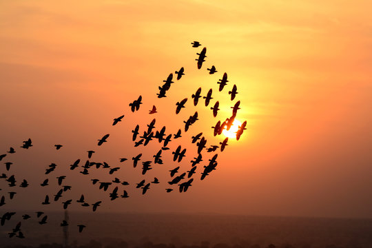 (C)2014, Rakesh Sharma, all rights reserved