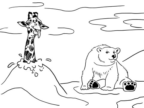 Giraffe and polar bear