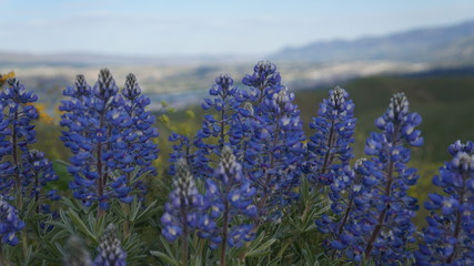 Exploring Washington State in the Springtime