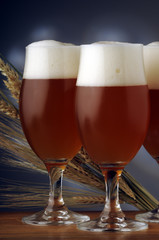 Øl Bih-luh Olut Μπύρα Գարեջուր Alus Sör Piwo Pivo Beer Birra جعة Bier Öl Biera Bière Пиво Cerveza آبجو 맥주 בירה Bjór öl बियर Bia đồ uống 啤酒 Bira เบียร์ ビール Cerveja Сыра