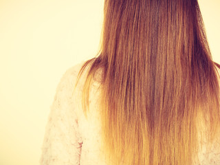 Back view of long brown straight hair