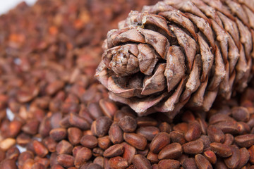 Fototapeta premium pine cones on a background of cedar seeds