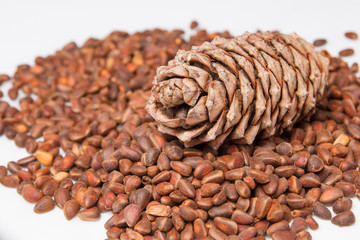 pine cones on a background of cedar seeds