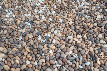 Texture of various pebble stone by the sea shore background