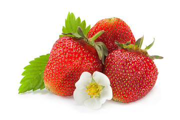 Strawberry fruit closeup on white