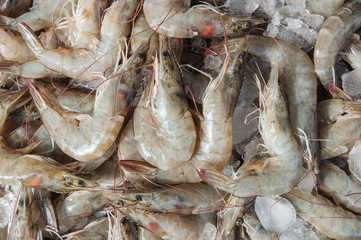 close up of fresh prawn, fresh shrimp are  components used to make seafood which sell in fish market.