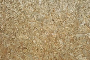 Random pattern of bamboo surface texture wallpaper