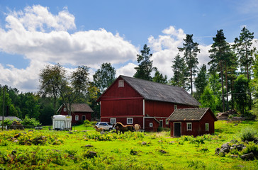 Pferde auf der Weide, Fjälster, Vimmerby, Kalmar län, Smaland, Schweden © Torsten Becker