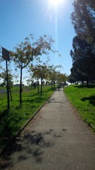 gente che passeggia nel parco