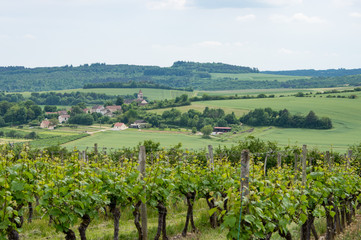 Collonges-l&egrave;s-B&eacute;vy